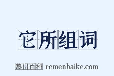 它所组词是什么意思的图片